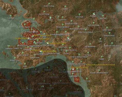 witcher 3 quests